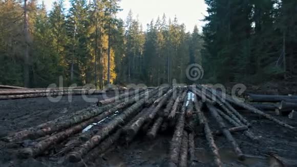 伐木和树干堆在森林里生态灾害视频的预览图