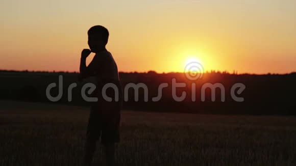 在田野里的夕阳下的孩子视频的预览图