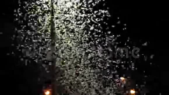 海南或又称鱼蝇沙蝇或上翅蝇在街灯周围飞舞视频的预览图