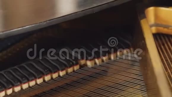 钢琴钢琴的内在机制机制播放音乐视频的预览图