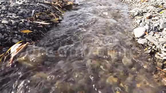 缓慢的溪流沿着卵石层流动视频的预览图
