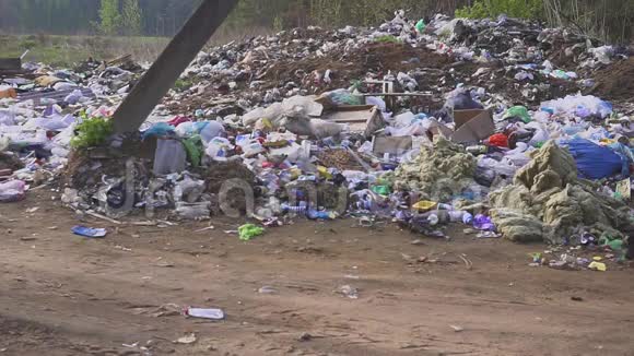 无家可归的流浪狗在垃圾桶里寻找食物乡村垃圾场视频的预览图