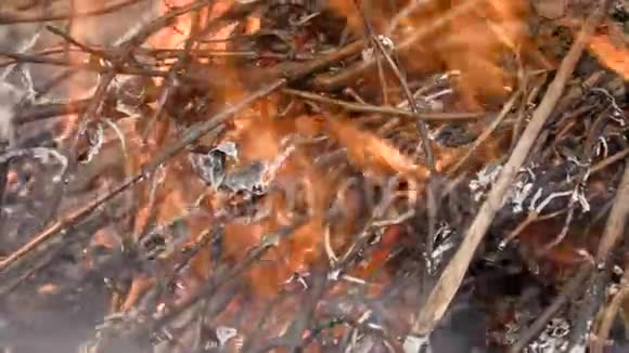 干枝和树叶的燃烧野火开火4K超高清超高清视频的预览图