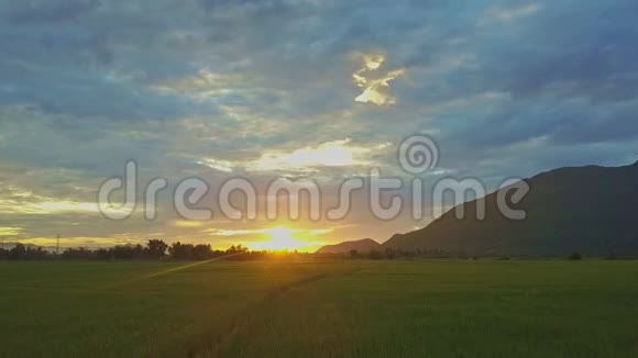 水稻种植地平线上的橙色太阳升起视频的预览图