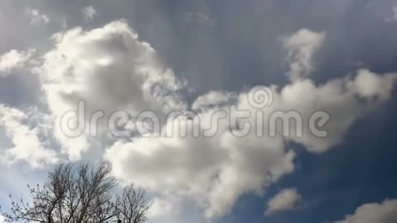 光秃秃的树枝顶着天空和浮云延时录音视频的预览图