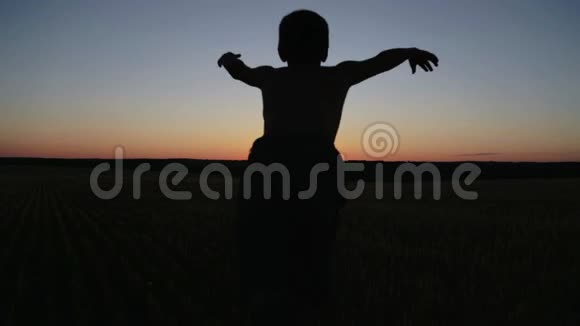 在田野里的夕阳下的孩子视频的预览图