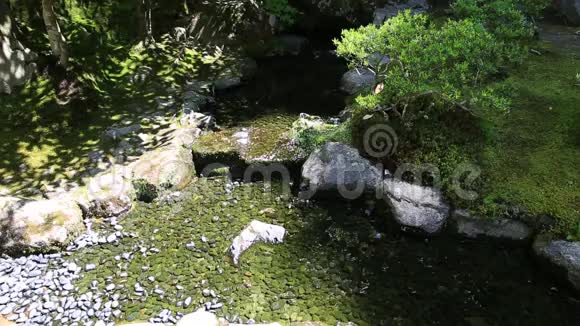 金阁寺的溪水视频的预览图