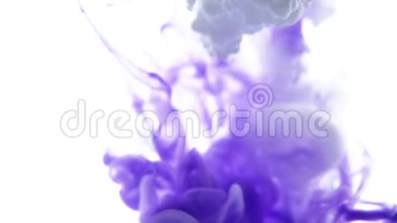 紫色和白色水滴视频的预览图