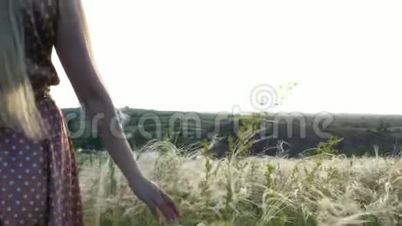 在夕阳下美丽的女孩在田野上穿着连衣裙和帽子视频的预览图