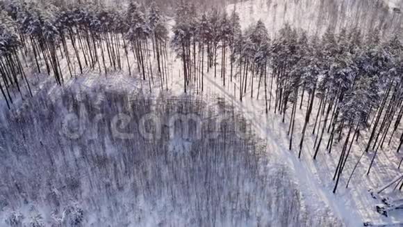 在白雪皑皑的森林里骑着车录像清晨的阳光空中观景雪林的空中景色视频的预览图
