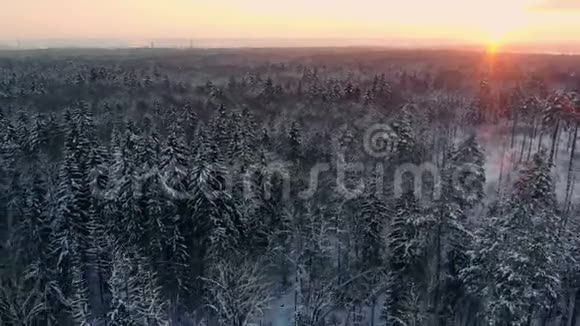 冬季北极圈上空芬兰拉普兰森林的无人机视频视频的预览图