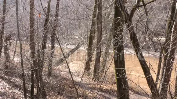 佐治亚州奥尔德洛佩磨路公园透过树木俯瞰下游的小河视频的预览图