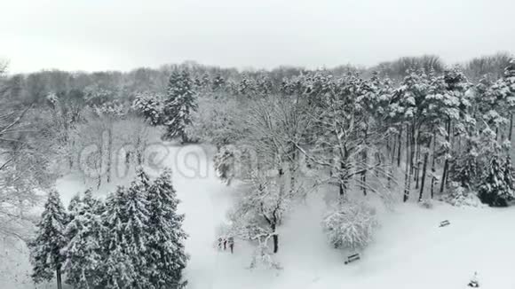 雪山冬季公园的鸟瞰图视频的预览图