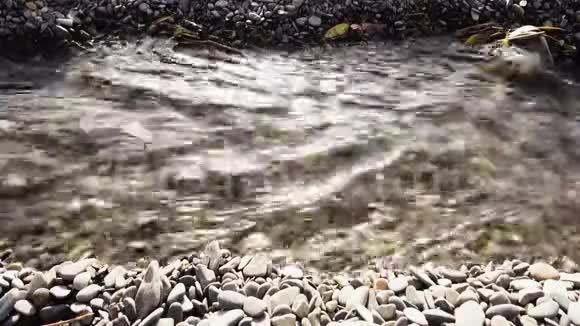 干净的山溪沿着视频的预览图