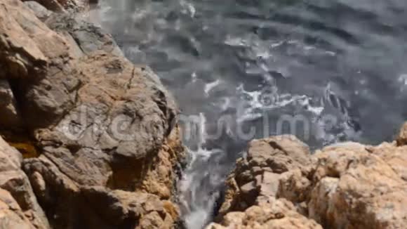 爱大海和悬崖视频的预览图