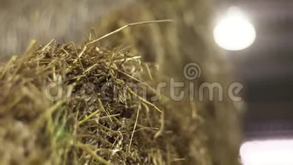 收获的新鲜干草并排在农场里视频的预览图