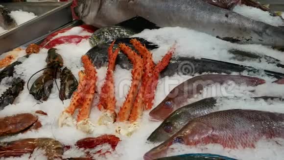 鱼类市场各种鱼类和软体动物视频的预览图