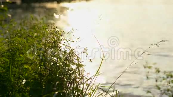 阳光和河流视频的预览图