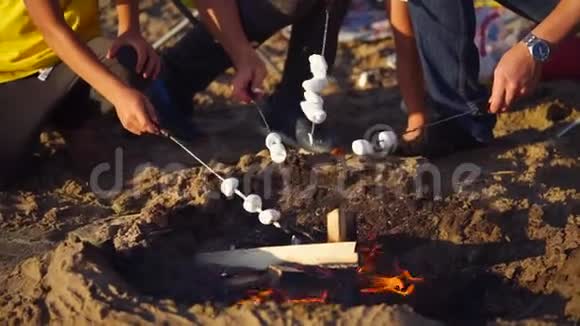 露营者在火上烤棉花糖视频的预览图