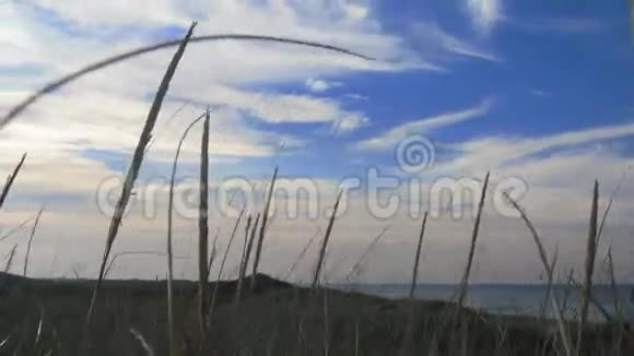 科德角海滩1号视频的预览图