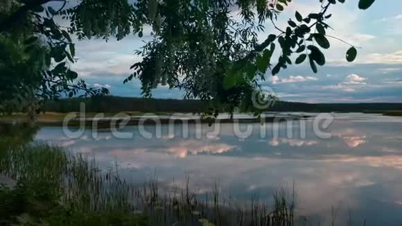 夏日的傍晚湖面上天空戏剧化水和草映入眼帘视频的预览图