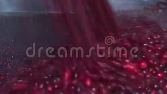 冻红蔓越莓视频的预览图
