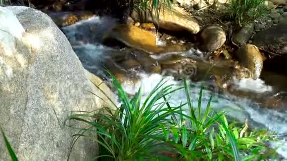 溪水在山河的石头间流淌河流中有水流的野生景观全景野生视频的预览图