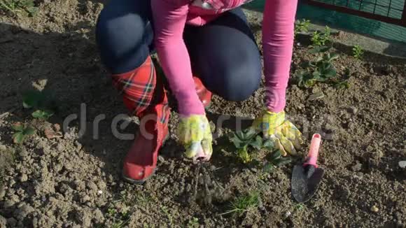 女人在花园里保持土壤视频的预览图