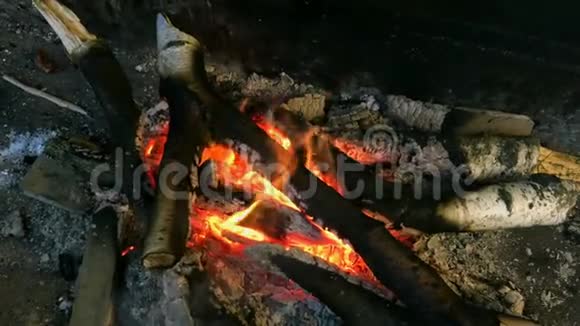 在会说话的烤架上烧柴火手拿燃烧的柴火视频的预览图