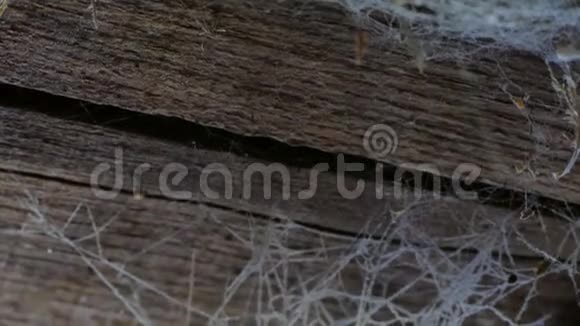 木屋天花板上的一张网有蜘蛛网和蜘蛛的旧谷仓视频的预览图