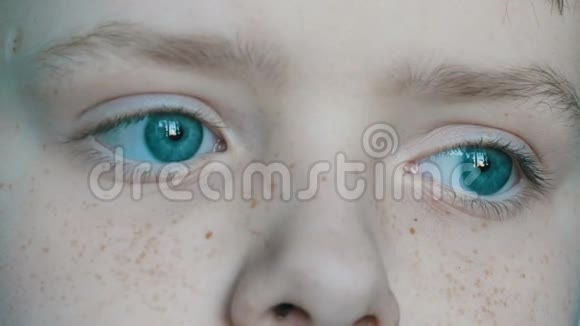 体贴的脸蓝眼睛长雀斑的男孩视频的预览图
