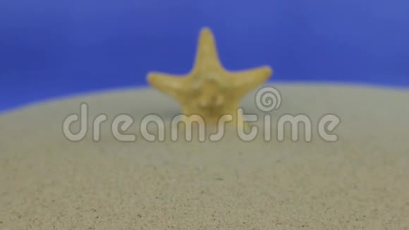走近躺在沙滩上的海星孤立视频的预览图
