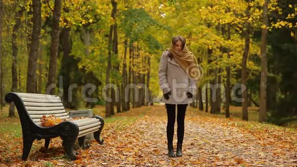 时尚的年轻女性感到寒冷在秋天公园的长凳附近通过手机打电话视频的预览图