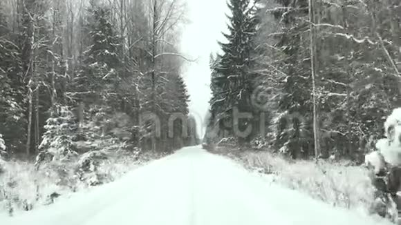 在冬天的森林里在白雪覆盖的路上开车4K视频的预览图