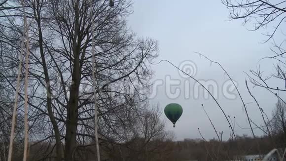 热气球在无叶树上空飞行视频的预览图