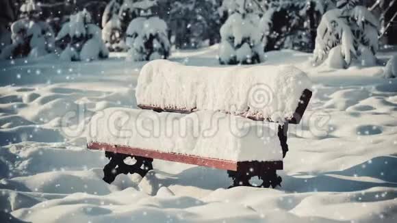 奇妙的童话般神奇的景观景观长凳圣诞树视频的预览图