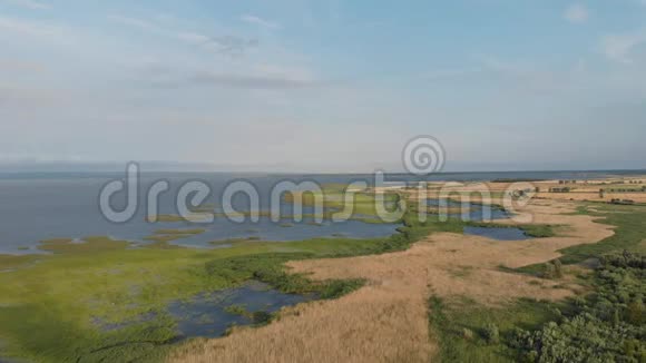 维斯图拉泻湖的岸边布满了芦苇视频的预览图