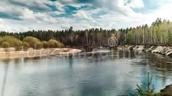 美丽的野生动物景观河流在森林的中央时间跨度视频的预览图
