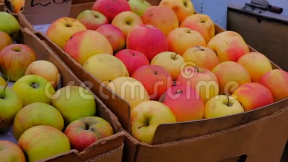 市场前景中五颜六色的苹果放在盒子里视频的预览图