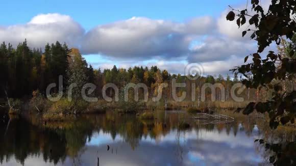 秋天的沼泽不错视频的预览图