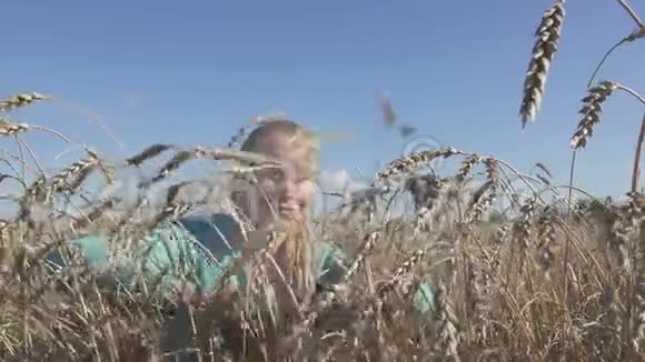 在阳光明媚的日子里一个年轻的瘦长的女人把成熟的麦秆分开视频的预览图