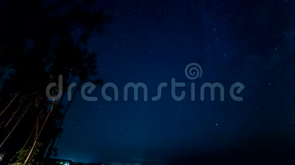 在松林中的夜晚时光从火中射出的松树上的动态光视频的预览图