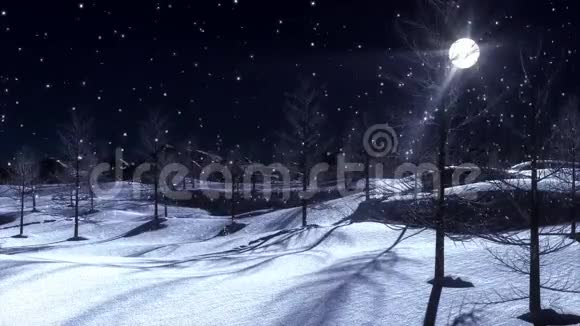 圣诞节下雪视频的预览图