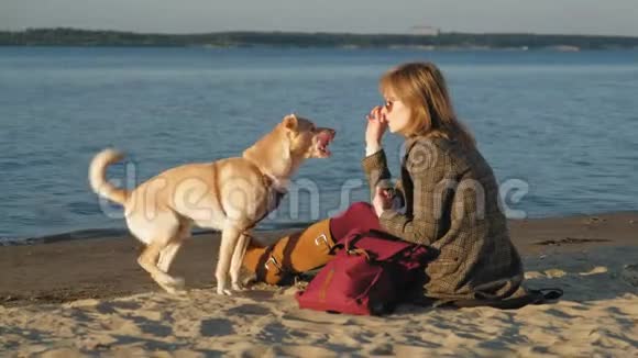 一个年轻的女人在河边的海滩上喂一只棕色的狗拉布拉多春天或寒冷的夏天视频的预览图