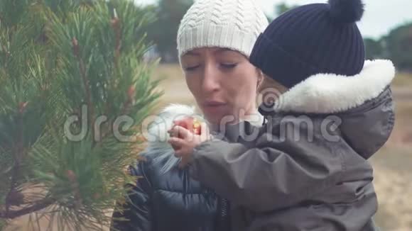 一位年轻的母亲和小儿子在户外装饰圣诞树像一个充满爱的家庭理念快乐视频的预览图