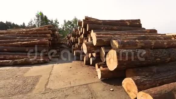 成排的树干锯木厂的木材仓库木工工厂的木材仓库视频的预览图