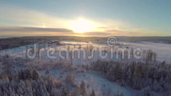 日落时分在森林和农场上空飞翔视频的预览图