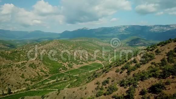 克里米亚景观鸟瞰山低地葡萄园克里米亚葡萄园视频的预览图