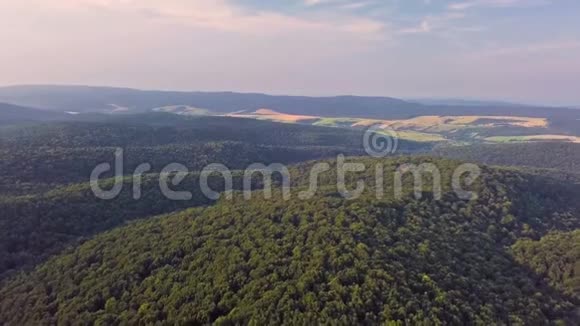 夏季傍晚森林山谷的鸟瞰景观视频的预览图