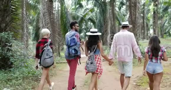 在森林小径上背包旅行的人群在热带棕榈树上徒步旅行的青年男子和妇女视频的预览图